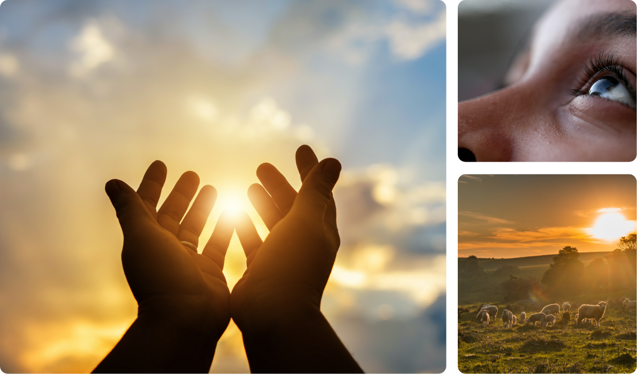 a collage of three images. the first image is hands pointing towards the sun. the second image is a closeup of a young girls eye and nose pointing towards the sky. the third image is a group of sheep in a field during the sunset